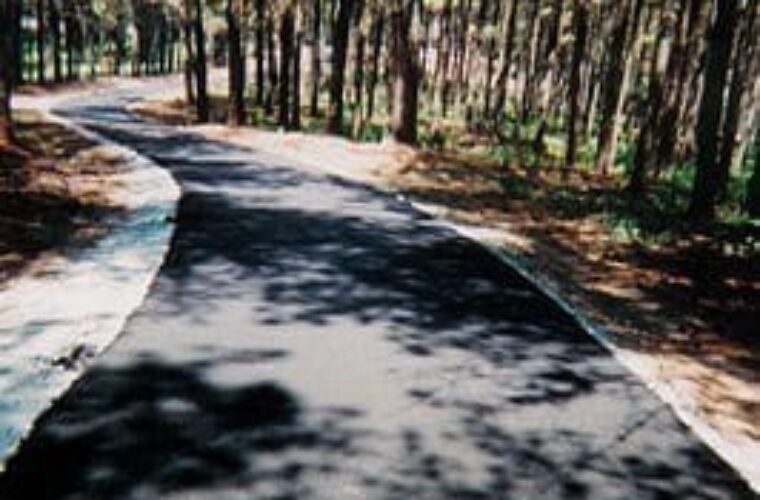 photo of newly paved asphalt residential driveway